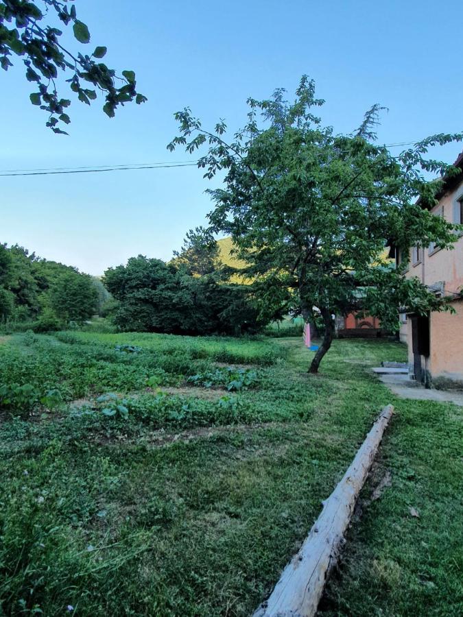 Rocca di Botte B&B Calecatine מראה חיצוני תמונה
